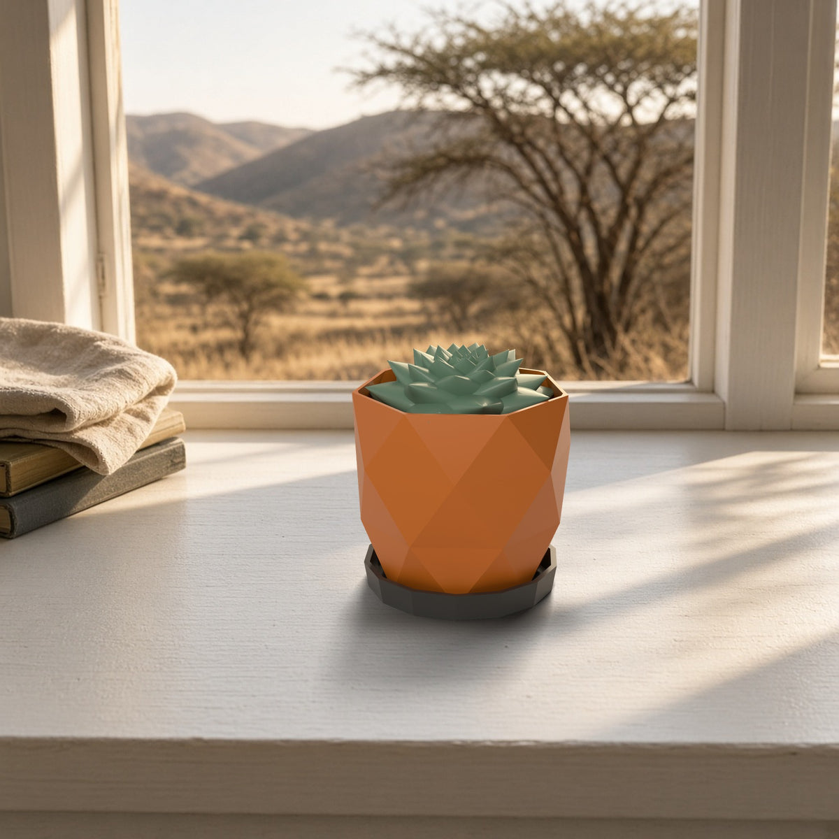 Windhoek 3D faceted succulent planter on a sunny windowsill