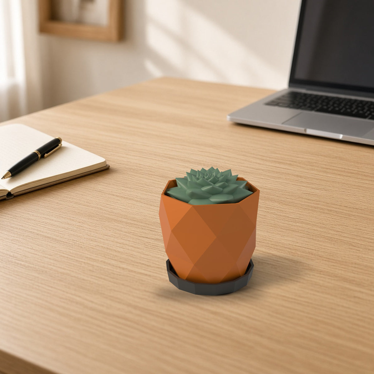 Windhoek 3D faceted succulent planter on a desk